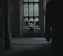 Halfblood-02894.jpg