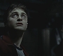 Halfblood-03935.jpg