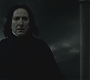 Halfblood-03949.jpg