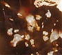 HOTN_1087.jpg