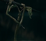 HOTN_1760.jpg