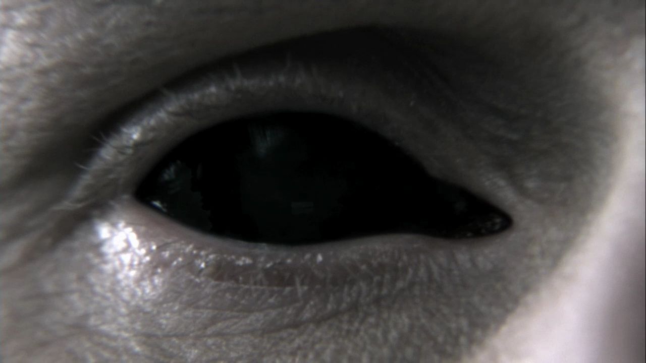 1003Smallville0046.jpg