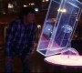 405Smallville0741.jpg