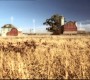 410Smallville0788.jpg
