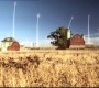 410Smallville0789.jpg