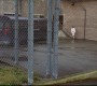 410Smallville0823.jpg