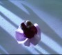 411Smallville0216.jpg