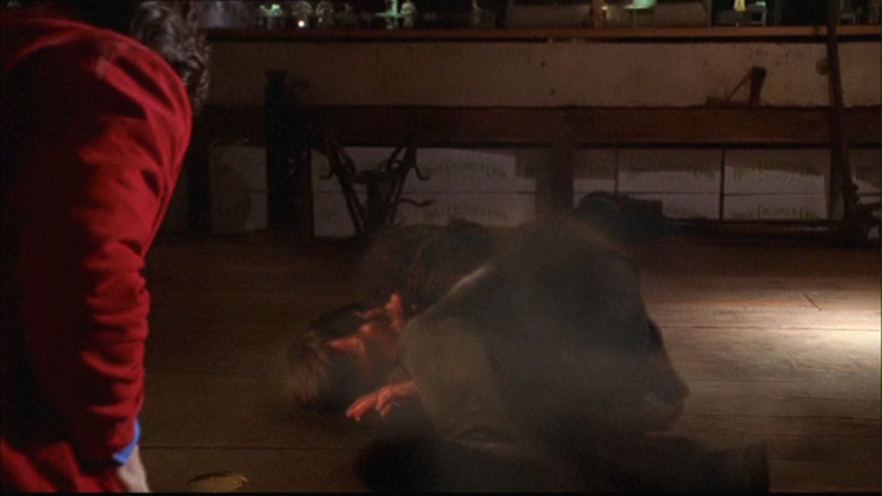 412Smallville0843.jpg