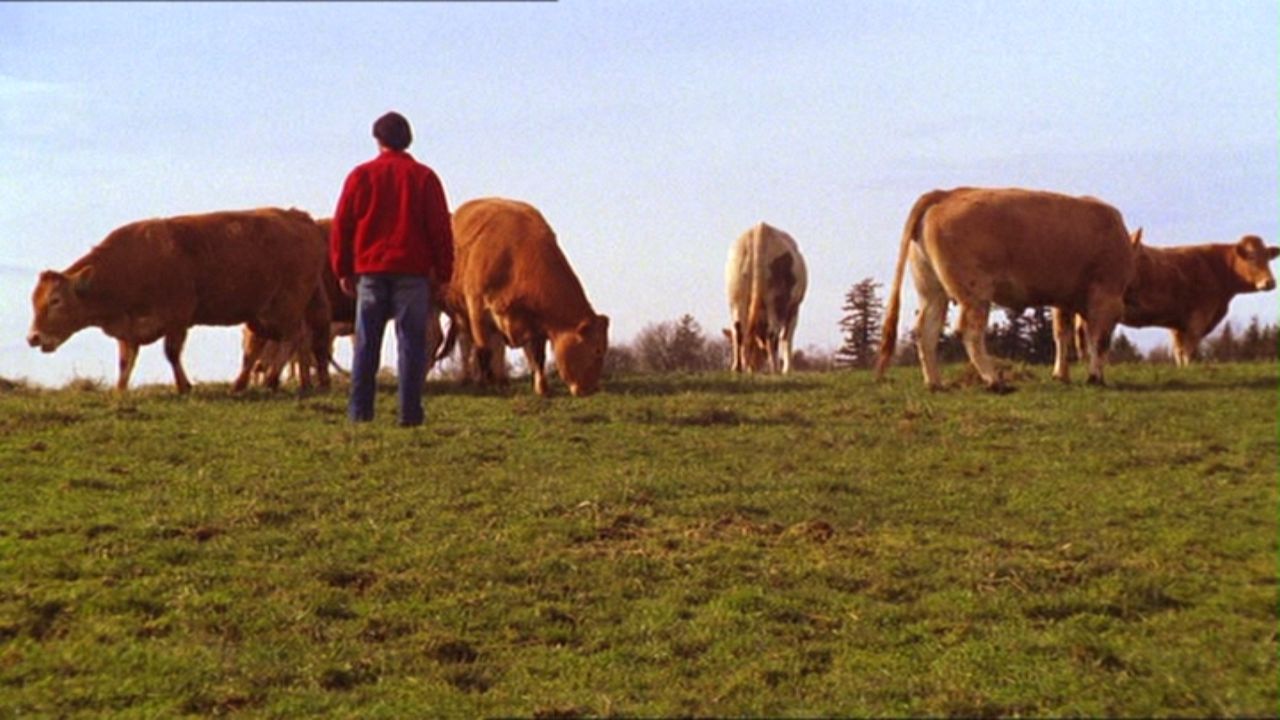 419Smallville0602.jpg