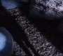 422Smallville0853.jpg