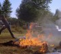 501Smallville0094.jpg