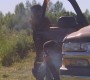 501Smallville0095.jpg