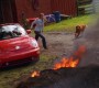 501Smallville0138.jpg
