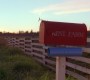 510Smallville0186.jpg
