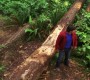 701Smallville0026.jpg