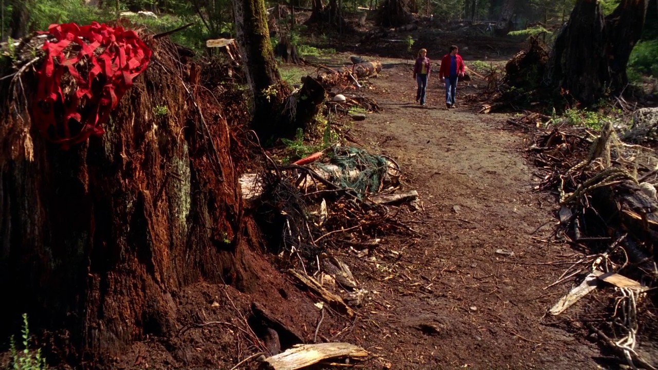 702Smallville0008.jpg