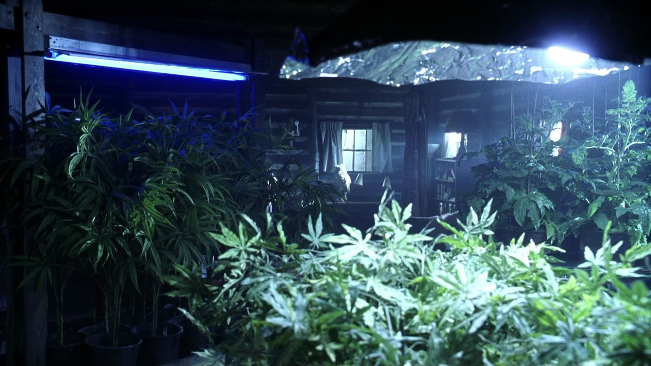 705Smallville0303.jpg