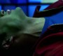 713Smallville0988.jpg