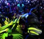 713Smallville1051.jpg