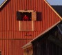 715Smallville0509.jpg