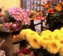 718Smallville0157.jpg