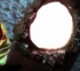 718Smallville0956.jpg