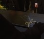 822Smallville1000.jpg