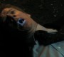 917Smallville0413.jpg