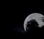 Filename=0461.jpg
Filesize=30KiB
Dimensions=1280x720
Date added=May 22, 2019 0461.jpg