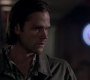 SPN_1236.jpg