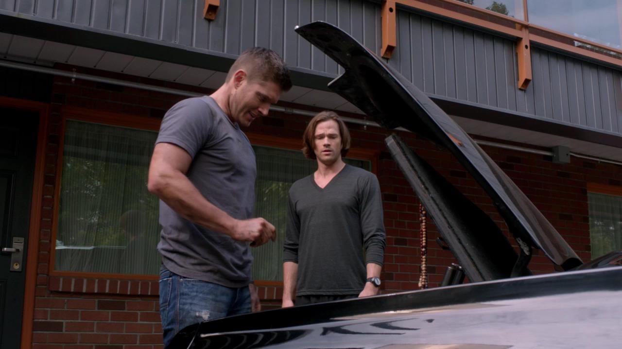 SPN_0166.jpg