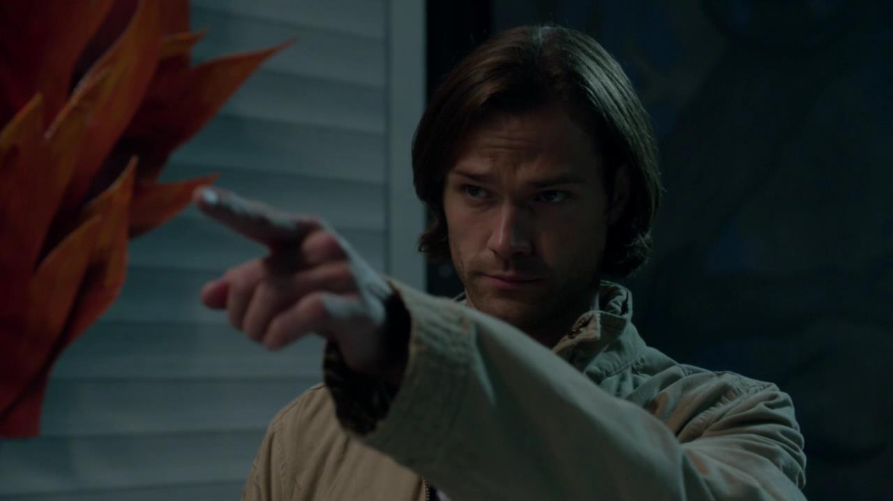SPN_1326.jpg