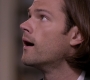 SPN_1035.jpg