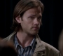SPN_1179.jpg