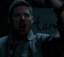 SPN_1329.jpg
