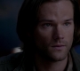 SPN_1206.jpg