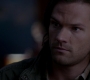 SPN_1268.jpg