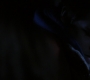 SPN_0064.jpg