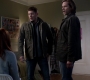 SPN_1229.jpg