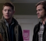 SPN_1238.jpg