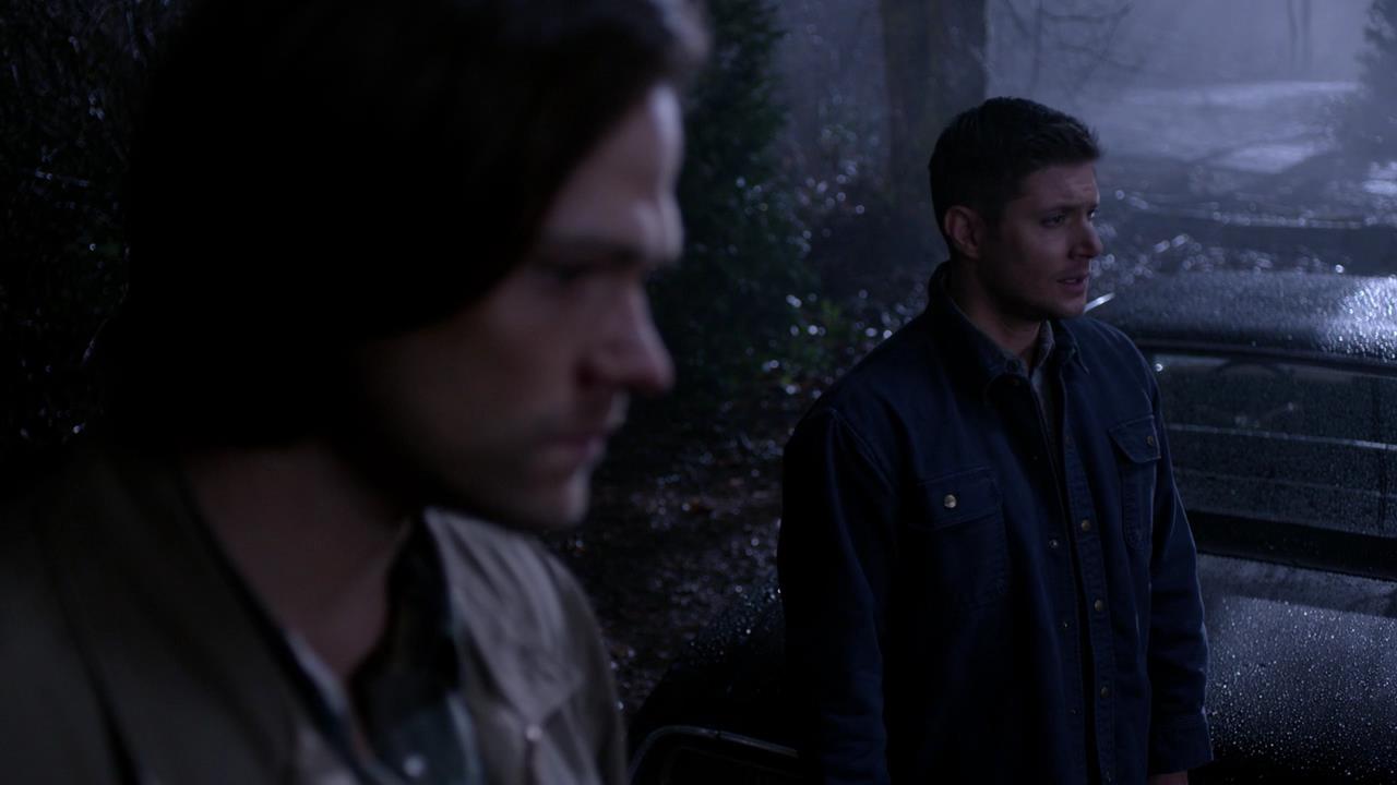 SPN_1784.jpg