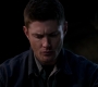 SPN_1100.jpg