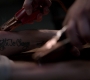 SPN_1124.jpg