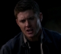 SPN_1130.jpg