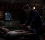 SPN_1148.jpg