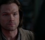 SPN_1391.jpg