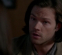 SPN_1518.jpg