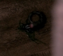 SPN_1628.jpg