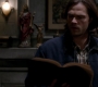 SPN_1372.jpg
