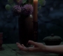 SPN_1391.jpg